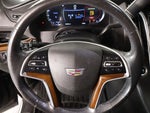 2020 Escalade Thumbnail 3