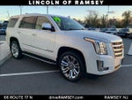 2019 Escalade Thumbnail 9