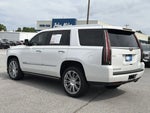 2020 Escalade Thumbnail 22