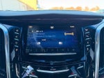 2015 Escalade Thumbnail 18