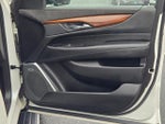 2019 Escalade Thumbnail 4