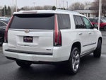 2019 Escalade Thumbnail 11