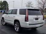 2019 Escalade Thumbnail 15