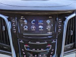2019 Escalade Thumbnail 17