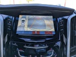 2019 Escalade Thumbnail 21