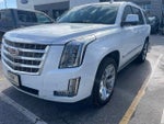 2019 Escalade Thumbnail 2