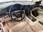 2019 Escalade Thumbnail 11