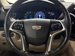 2019 Escalade Thumbnail 16