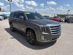 2019 Escalade Thumbnail 3