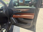 2019 Escalade Thumbnail 19