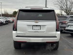 2019 Escalade Thumbnail 5