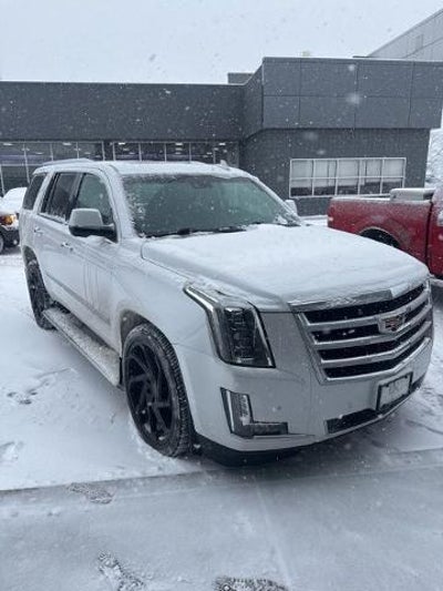 Photo of a 2016 Cadillac Escalade 4X4 Premium Collection 4DR SUV for sale