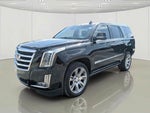2018 Escalade Thumbnail 8