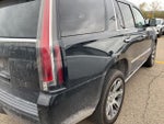 2017 Escalade Thumbnail 14