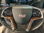 2017 Escalade Thumbnail 20