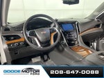 2019 Escalade Thumbnail 8