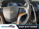 2019 Escalade Thumbnail 14