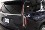 2021 Escalade Thumbnail 17
