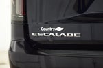 2021 Escalade Thumbnail 21