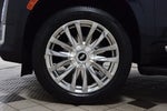 2021 Escalade Thumbnail 27