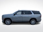 2023 Escalade Thumbnail 13