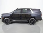 2024 Escalade Thumbnail 19