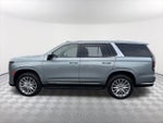 2024 Escalade Thumbnail 8