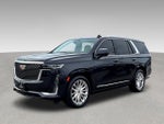 2023 Escalade Thumbnail 3