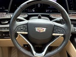 2023 Escalade Thumbnail 14