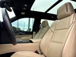 2023 Escalade Thumbnail 15