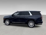 2023 Escalade Thumbnail 25