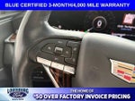 2021 Escalade Thumbnail 18