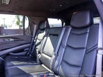2019 Escalade Thumbnail 11