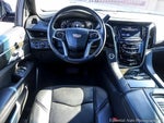 2019 Escalade Thumbnail 14