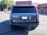 2019 Escalade Thumbnail 5