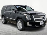2018 Escalade Thumbnail 12