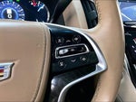 2018 Escalade Thumbnail 19