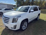 2018 Escalade Thumbnail 2