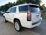 2019 Escalade Thumbnail 4