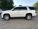 2019 Escalade Thumbnail 5