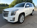 2019 Escalade Thumbnail 6