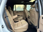 2019 Escalade Thumbnail 10