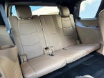 2019 Escalade Thumbnail 12