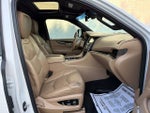 2019 Escalade Thumbnail 14