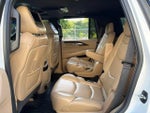2019 Escalade Thumbnail 23