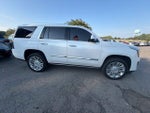 2019 Escalade Thumbnail 3