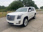 2019 Escalade Thumbnail 4