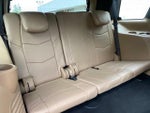 2019 Escalade Thumbnail 12