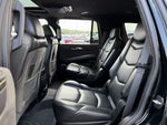 2020 Escalade Thumbnail 14