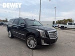 2017 Escalade Thumbnail 1